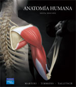 Libro | Anatomia humana | Autor:Martini | 6ed | Libros de Ciencias